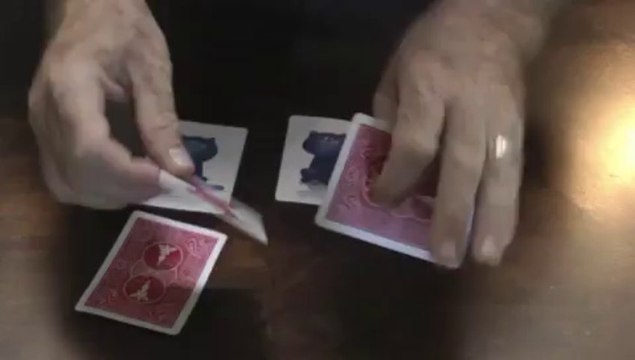 Wild Card Tricks For Kids (DVD and gimmicks) by Paul Romhany - Magic Trick