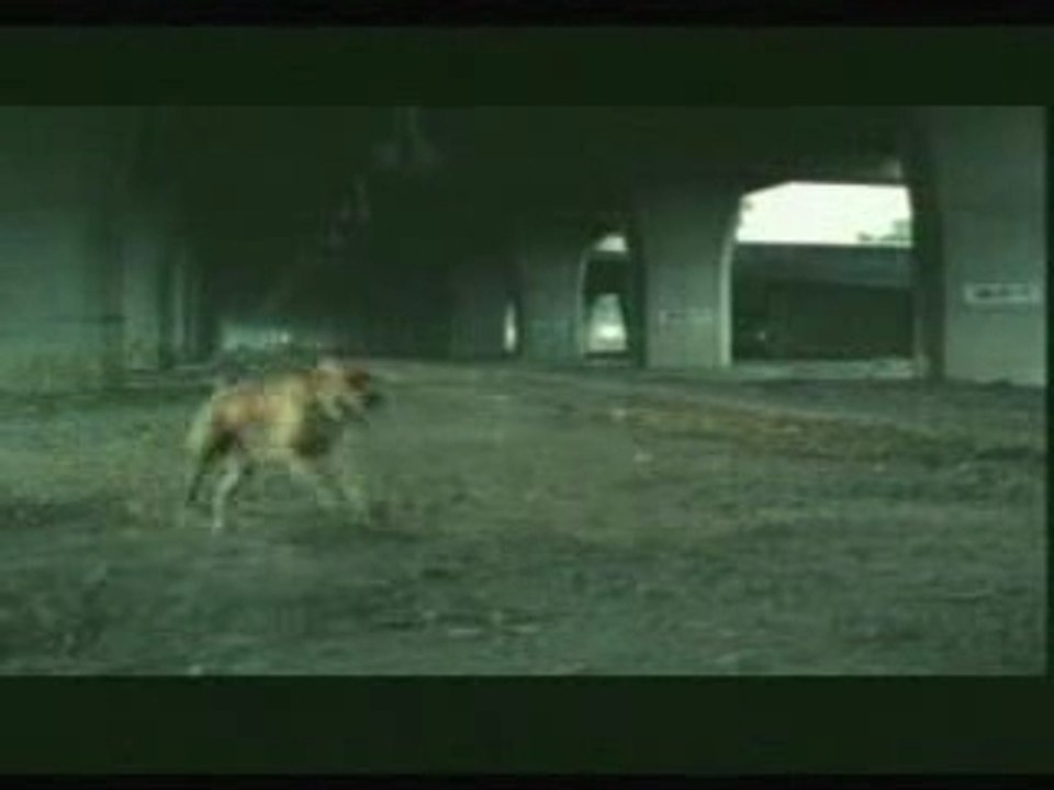 suicide bridgestone