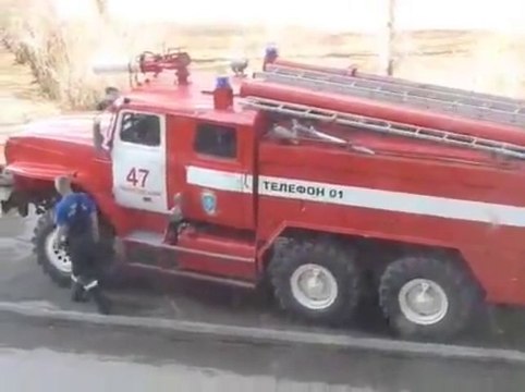 Lance incendie de pompier pour un chat coincé dans l'arbre