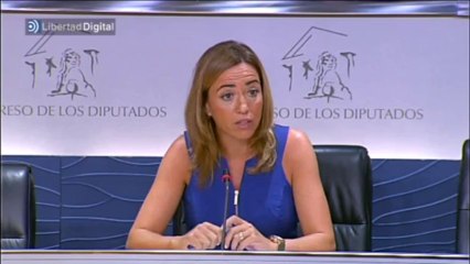 Chacón: "Dejo el escaño pero no dejo la política"