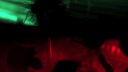 TeriMakaci rend hommage à Michael Jackson pour son anniversaire