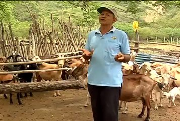 29 de agosto de 2013 Guataqui web