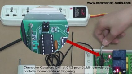 Émetteur Récepteur Sans Fil 220V Commander Ventilateur de Chauffage et Lampe Halogène 110V 2 Canaux 2000M