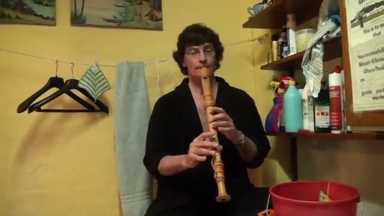 Daft Punk Get Lucky Flute Version