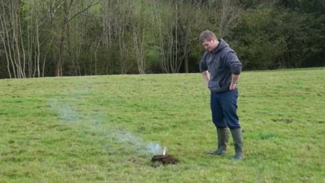 Explosion de bouse avec un pétard