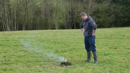 Explosion de bouse avec un pétard