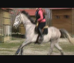 agathe stage lamotte