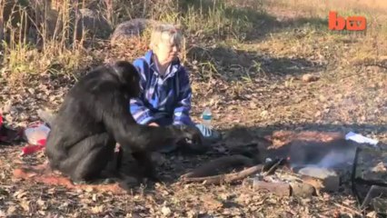 Kamp ateşi yakan maymun Kanzi