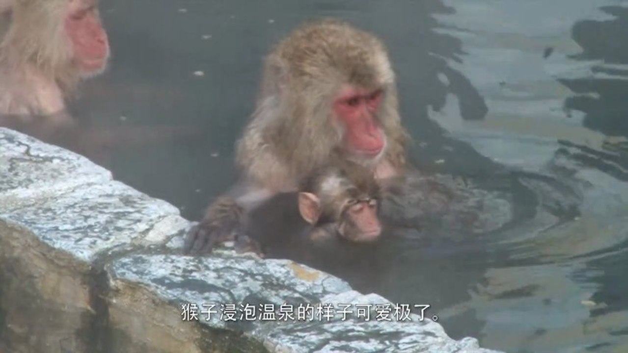 欢迎您光临冬天的函馆！