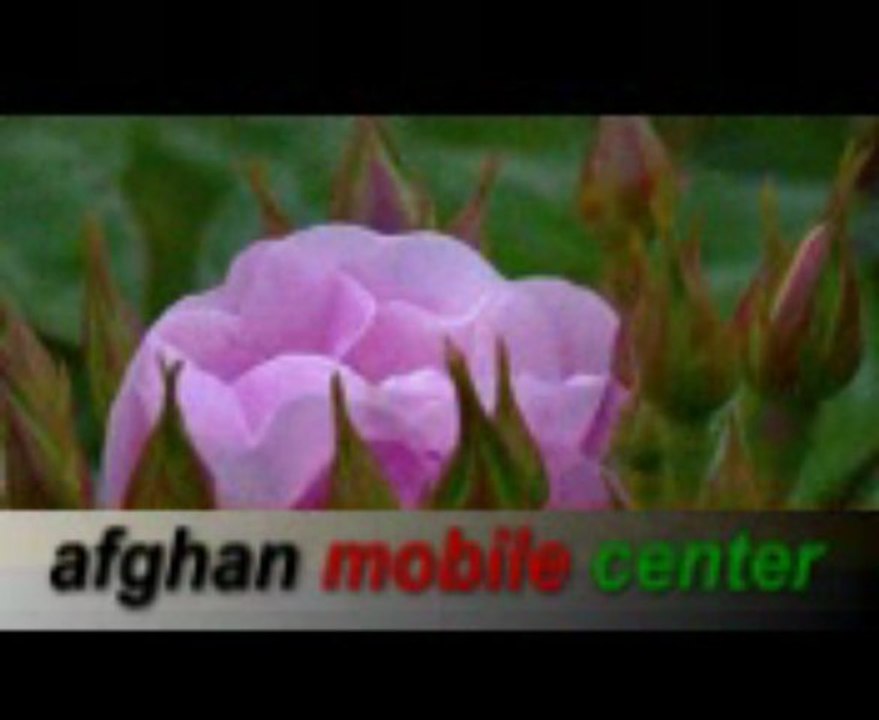 AFGHAN NEW SONGS