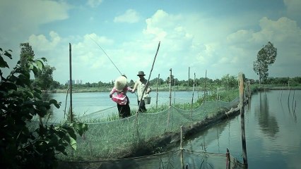 Trách ai vô tình - Giáng Tiên