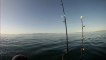 Catalina Test moteur - Pêche en Mer avec Roussillon Fishing