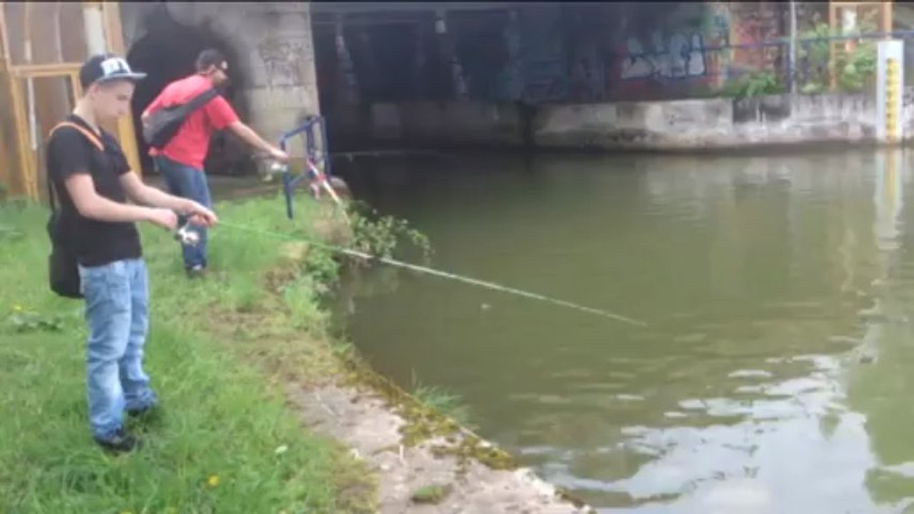 gobie fishing