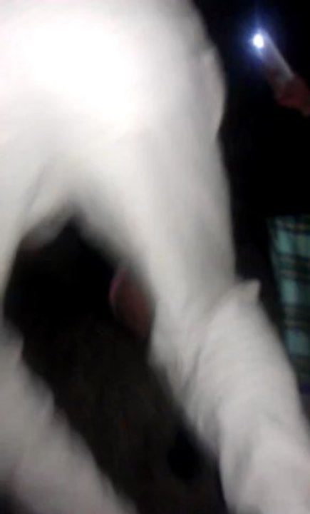 VIDEO0015
