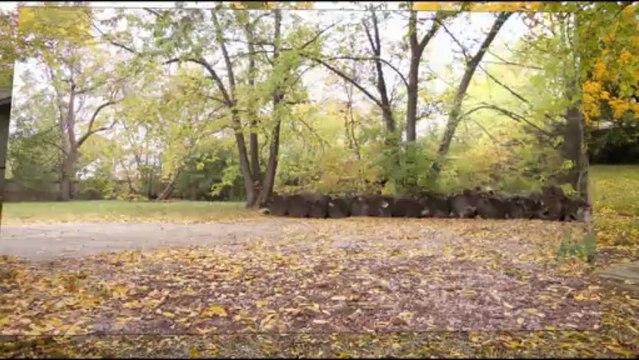 9050 E 65th Street Raytown, 64133