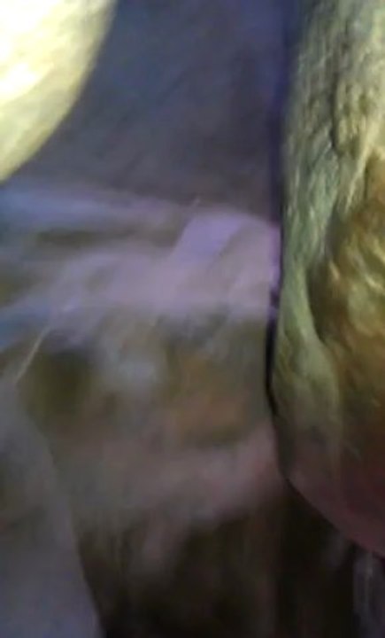 VIDEO0031