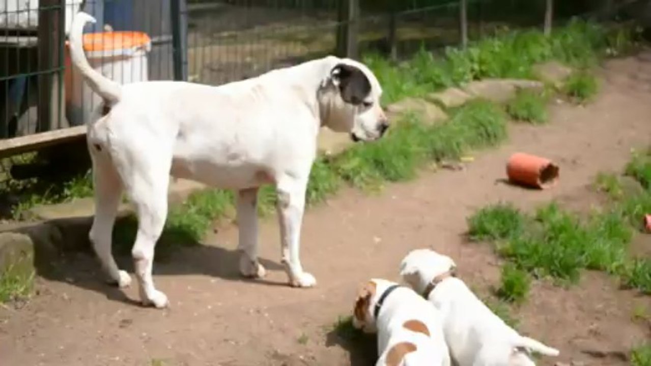 Curtis & Co Killa avec Curtis & Co Indiana