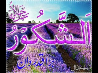 QURAN SURAT AL MASAD SURAT FALAQ