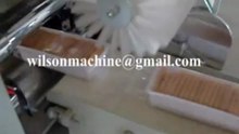 Biscuit in tray packing machine