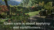 Doing The Right Lawn Care In Your Yard