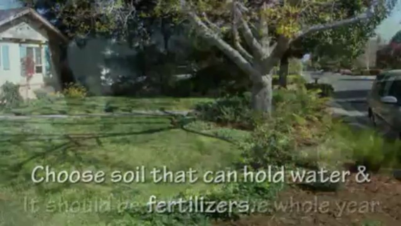 Doing The Right Grass Care In Your Backyard