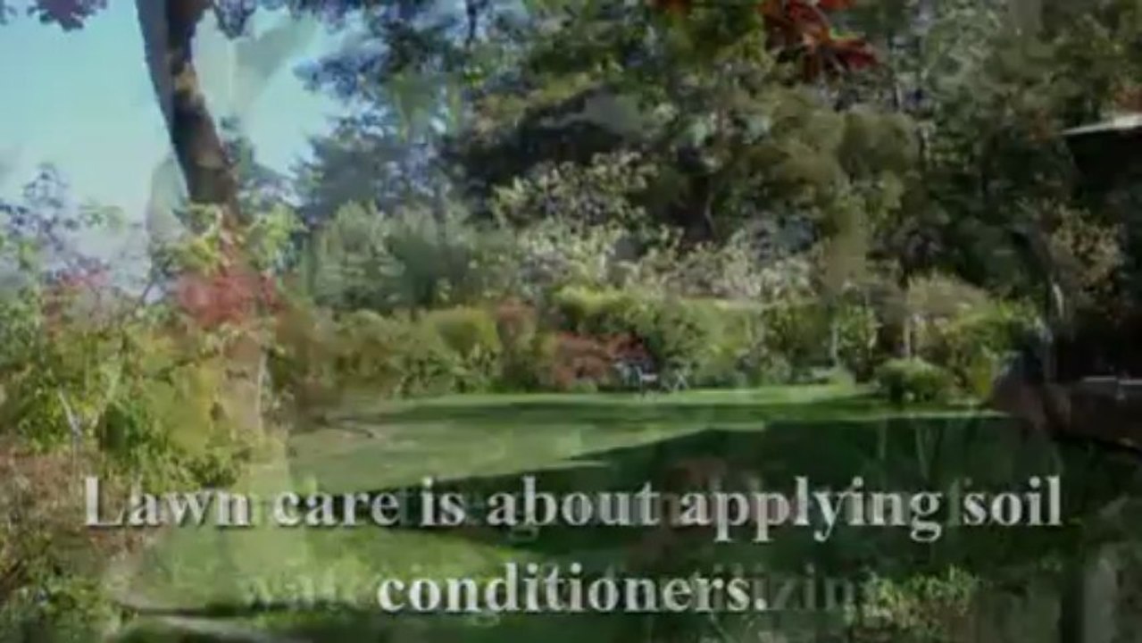 Doing The Right Lawn Treatment In Your Backyard