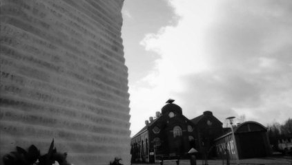 Le radici nella mia terra