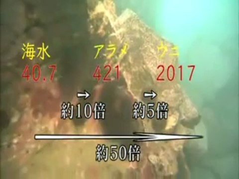 20111127　海のホットスポット
