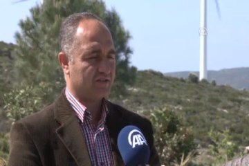 Hem Türkiye'ye hem yatırımcısına kazandırıyor