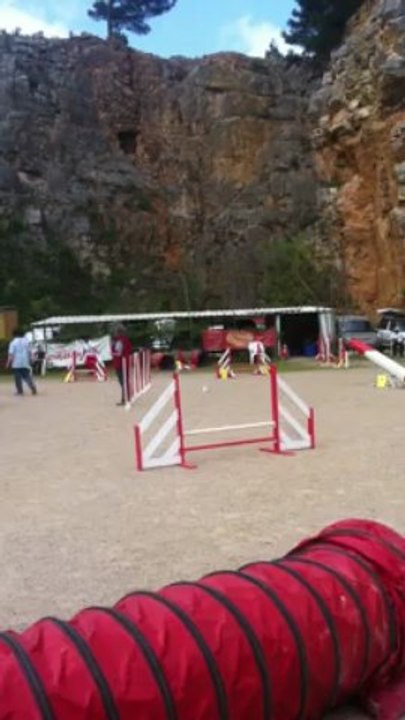 concours à grasse
