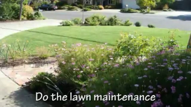 Working with of a Landscape design Contractor