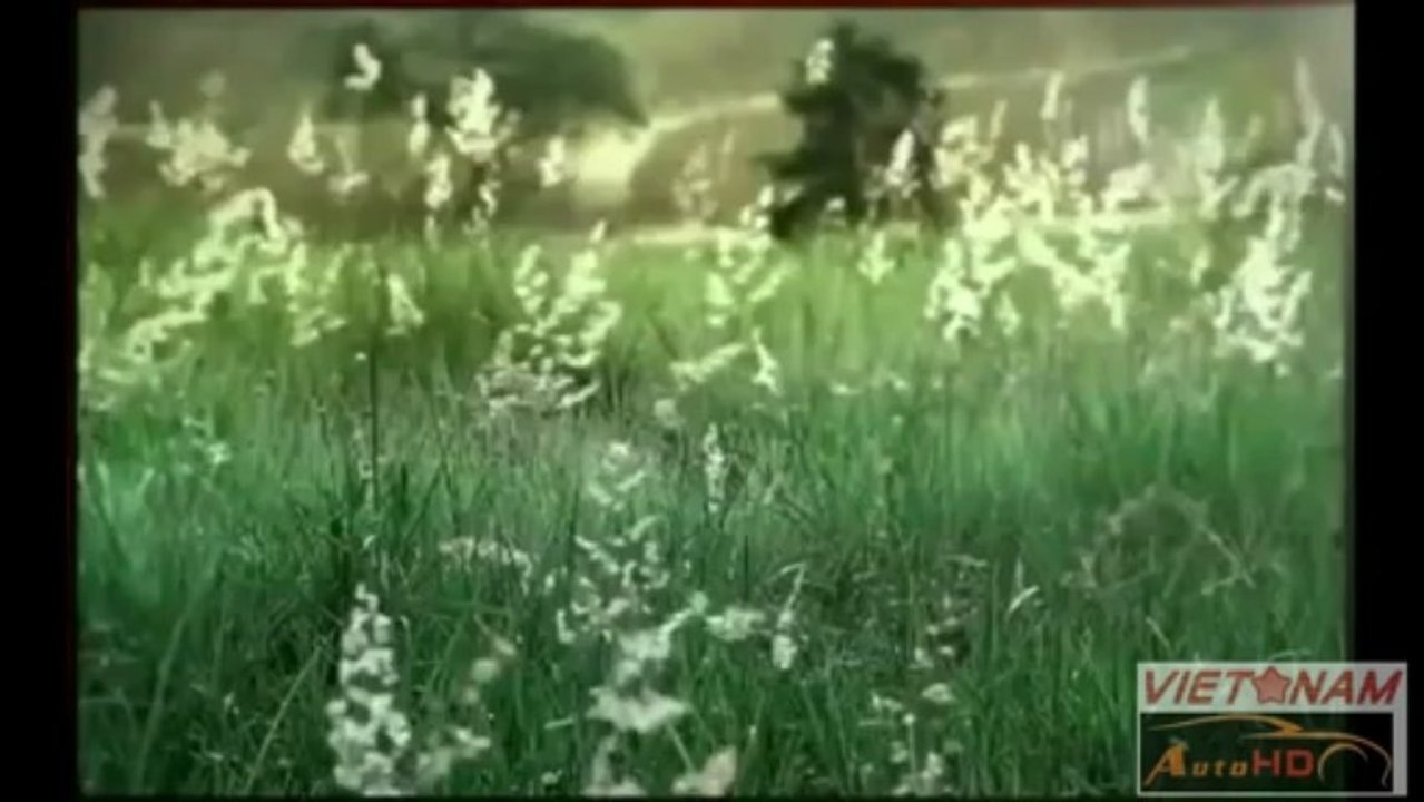 TOYOTA FORTUNER 2014,FORTUNER V 2014,FORTUNER G 2014,FORTUNER 2015,Toyota Thanh Xuan,0916589293