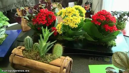 Regalos para sorprender en el Día de la Madre