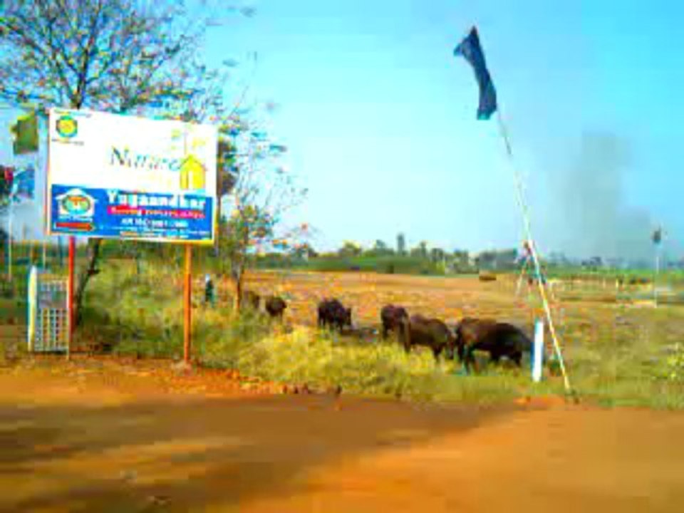 www.VUDAPLOTS.com Advertise your Plots in Kurnool Kadapa Ongole