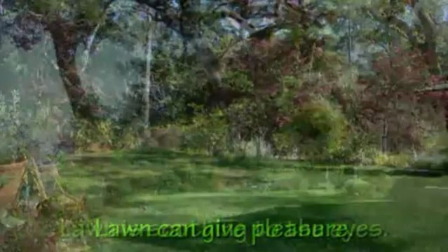 Grass Care Management