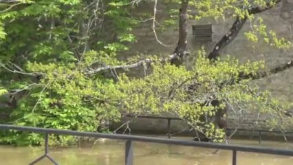Des rues de Chablis inondées par la crue du Serein