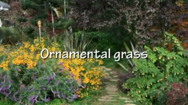 Cutting Grass the Right Way