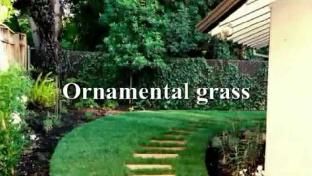 Trimming Yards properly