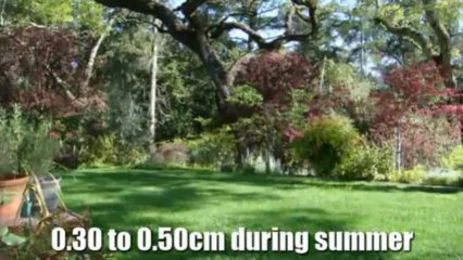 Mowing Grass properly