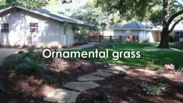 Trimming Lawns properly