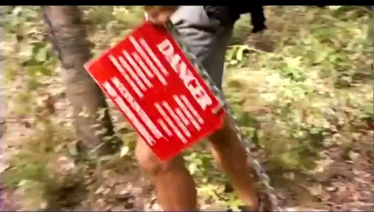 Port Cros Tourisme et développement durable