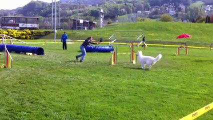 Aska jumping du 05.05.2013 5ème