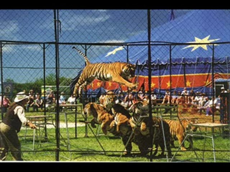 pakistan tehreek-e-insaf  Balla Rap .. for PTI supporters