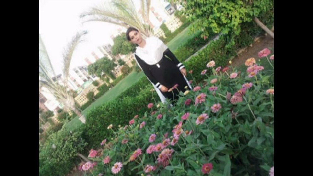Picnic Pics Video