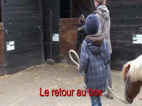 Stage d'équitation 2013