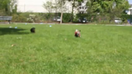 Amour, Geisha et Happiness le 5 mai 2013 026