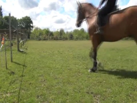 Louisa Lolita, Moi Galan en Likorne sans mors