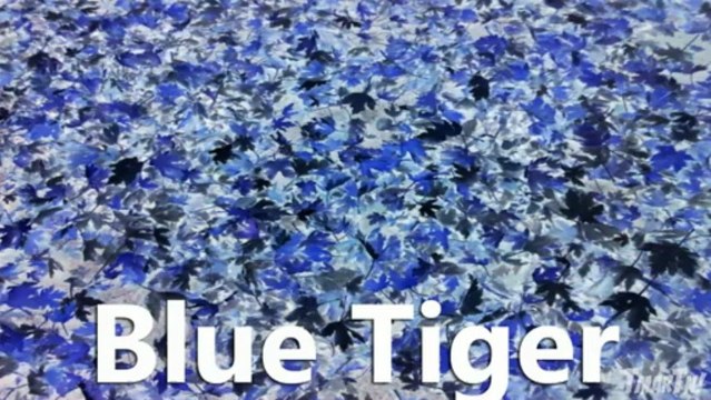 Black Ops 2 - ALL GUN CAMOS! (Call of Duty BO2 Multiplayer Weapon Camo Primary Secondary Launcher)