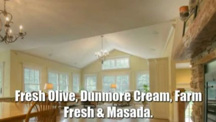 Best Colour Trends to Ask Your Residential Painter