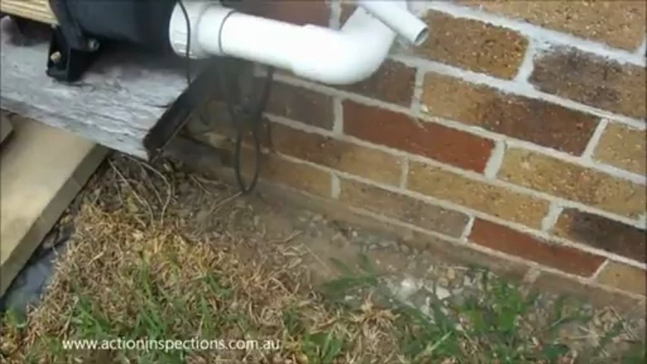 Termite Prevention - Building Inspections Brisbane